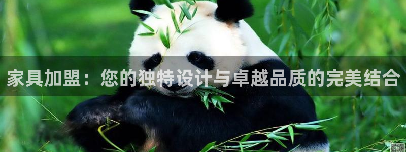 安信12平台介绍