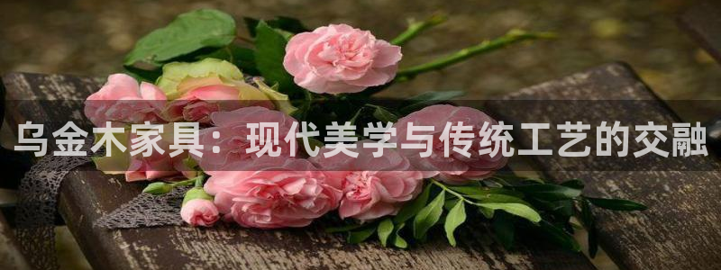 安信12位数资金号