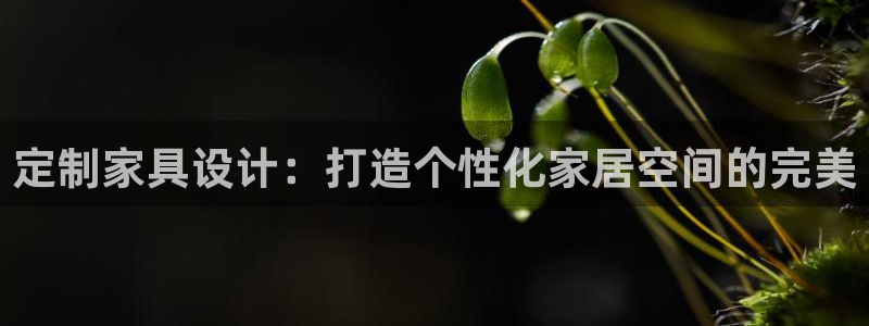 安信12注册登录