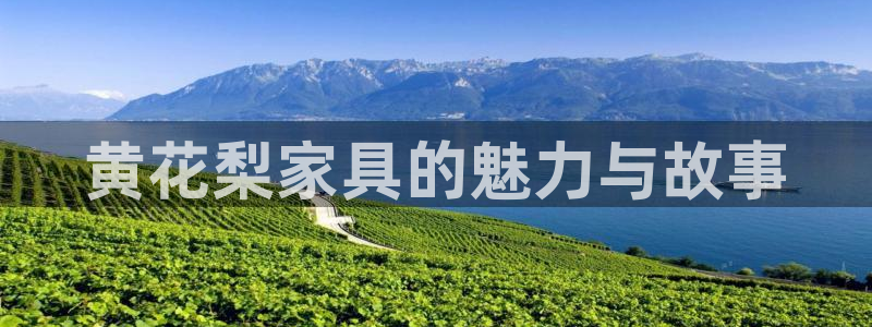 安信12注册登录