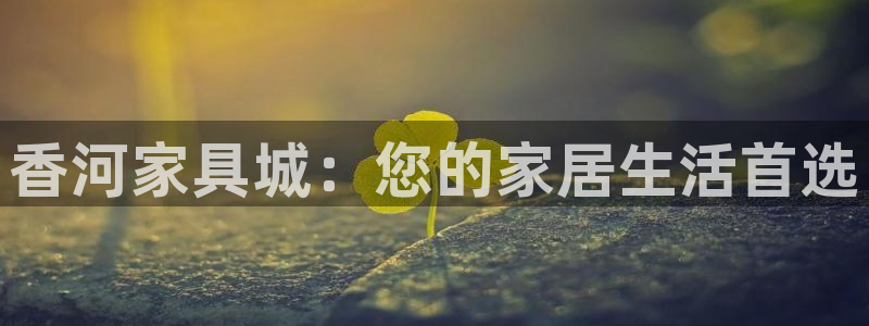 安信12怎么注册