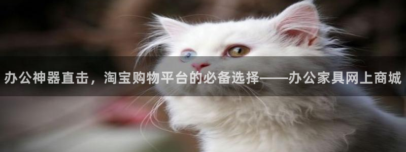 安信12平台注册