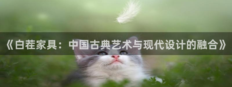 安信12彩票app下载