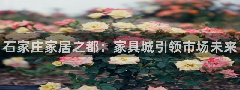 安信12级：石家庄家居之都：家具城引领市场未来