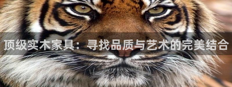 安信12注册代理