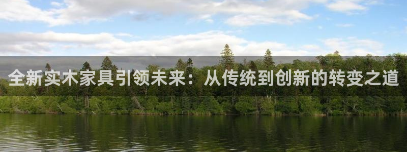 安信12如何开代理：全新实木家具引领未来：从传统到创新的转变